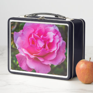 Delikate rosa Rosa Rose. Metall Brotdose