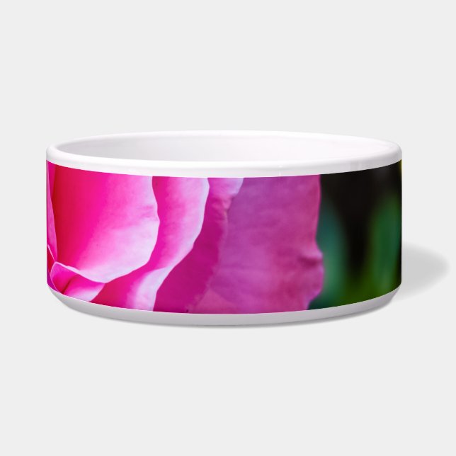 Delikate rosa Rosa Rose. Napf (Rechts)
