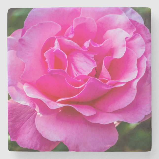 Delikate rosa Rosa Rose. Steinuntersetzer (Vorderseite)