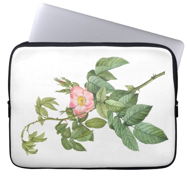 Delikate Rosa Wilde Rose Botanischer Laptop-Sieb Laptopschutzhülle (Vorderseite)