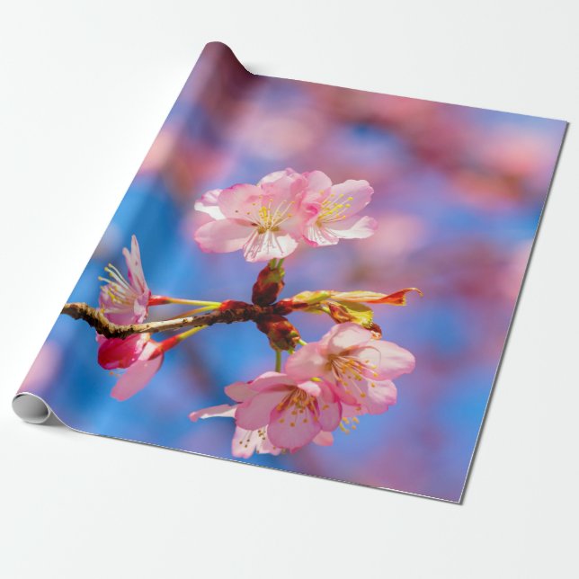 Delikate Sakura Schönheit gegen den blauen Himmel Geschenkpapier (Ungerollt)