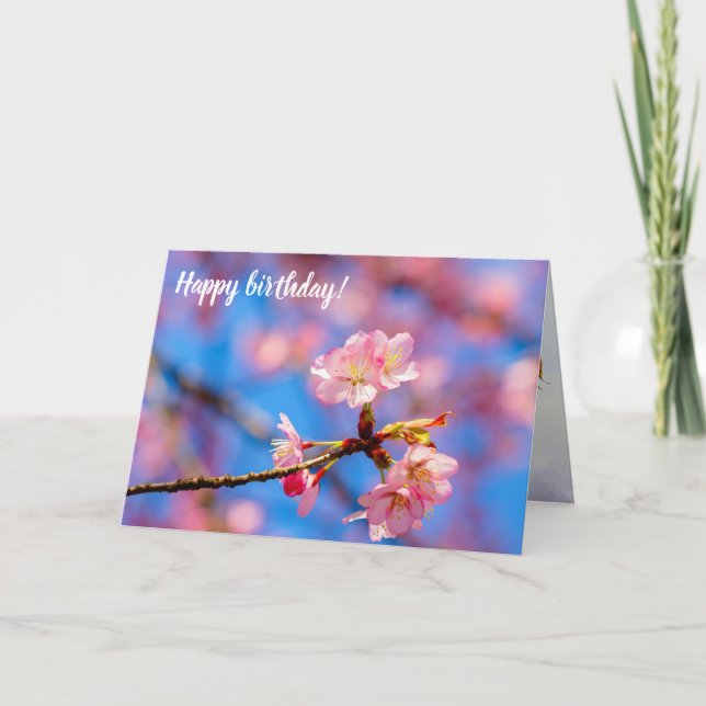 Delikate Sakura Schönheit gegen den blauen Himmel Karte (Vorderseite)