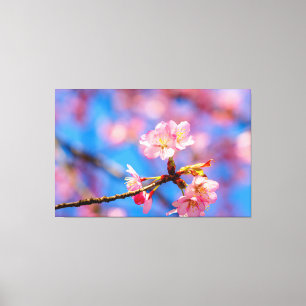 Delikate Sakura Schönheit gegen den blauen Himmel Leinwanddruck