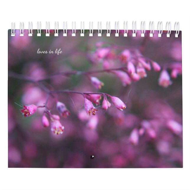 Delikate Sommer-Blume Kalender (Titelbild)
