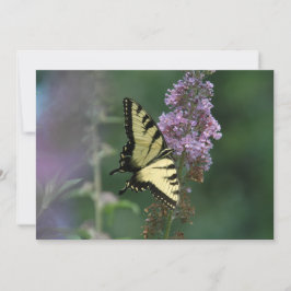 Delikate Touch eines Schmetterlings - flache Grußk Karte