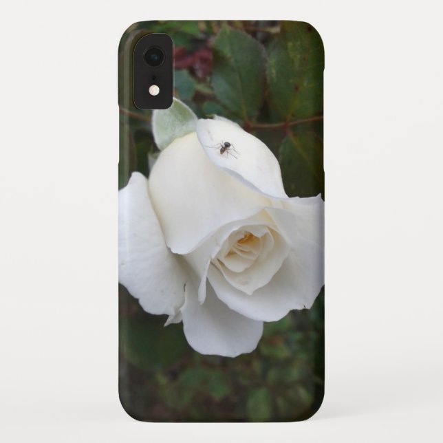 Delikate Weiße Rose-Natur Case-Mate iPhone Hülle (Rückseite)