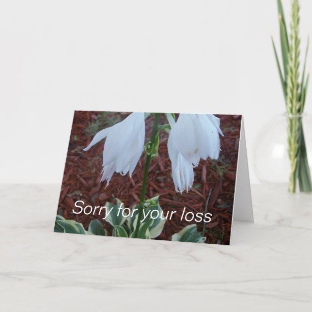 Delikate, weiße Sun Hosta Blume auf einem Beileid Karte (Vorderseite)