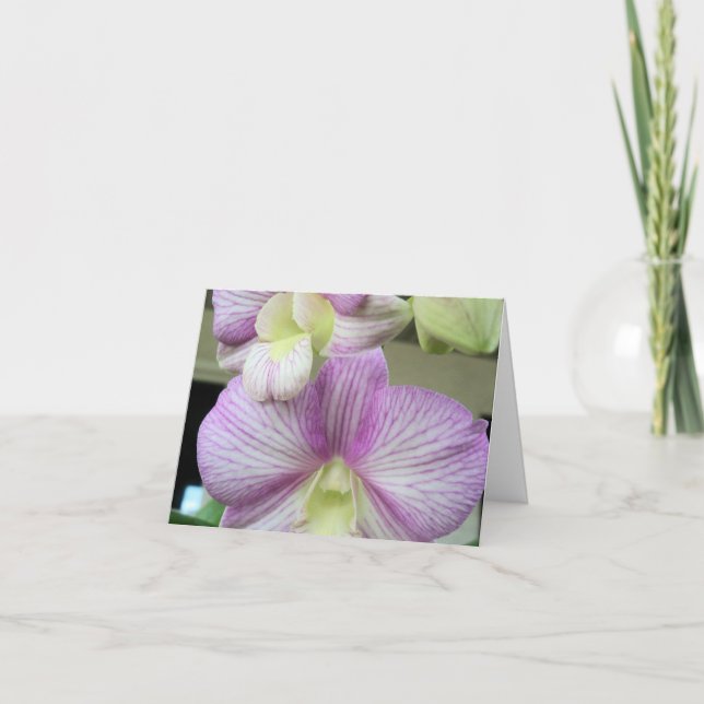 Delikate, weiße und lila Orchidee auf einer Dankes Dankeskarte (Vorderseite)