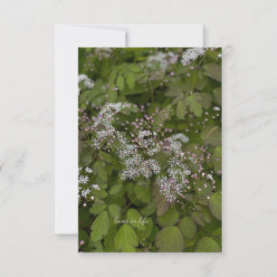Delikate White Summer Blume Mitteilungskarte