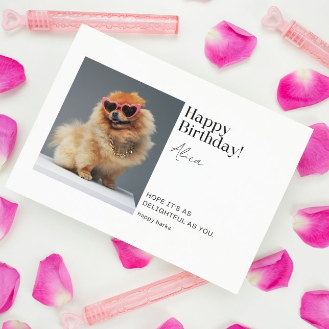 Delikater Spitz, benutzerdefiniert geklappt Geburt Karte (Birthday Depot Party Supplies -
Delightful Pomeranian Custom Folded Birthday Card Downloadable)