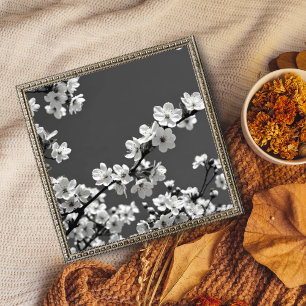 Delikater Tanz: Kirschblüten in Schwarz und Weiß Fotodruck