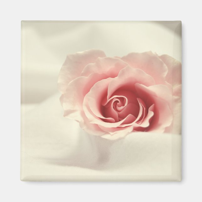 Delikatesse Rose Magnet (Vorne)