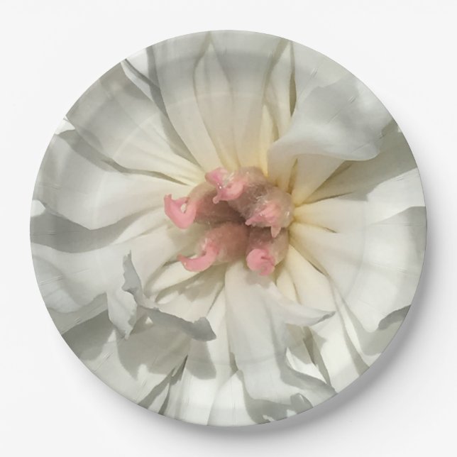 Delikatesse Weiß und Rosa Peony Pappteller (Vorderseite)