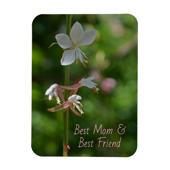 Delikatessen Rosa Blume Beste Mama Magnet (Vertikal)