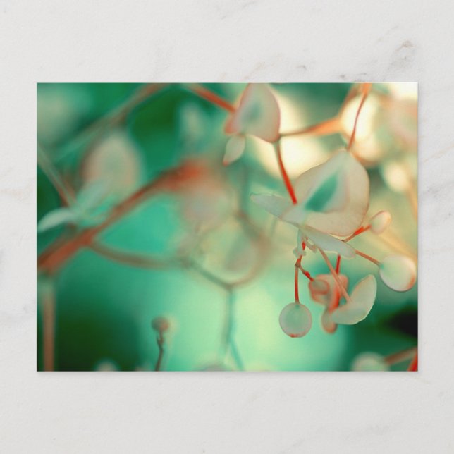 Delikatfallen Postkarte (Vorderseite)