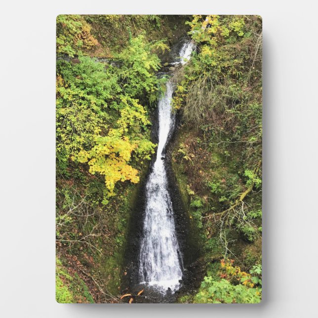 Dell Falls, Columbia River Gorge, OR Fotoplatte (Vorderseite)