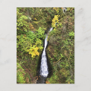 Dell Falls, Columbia River Gorge, OR Postkarte