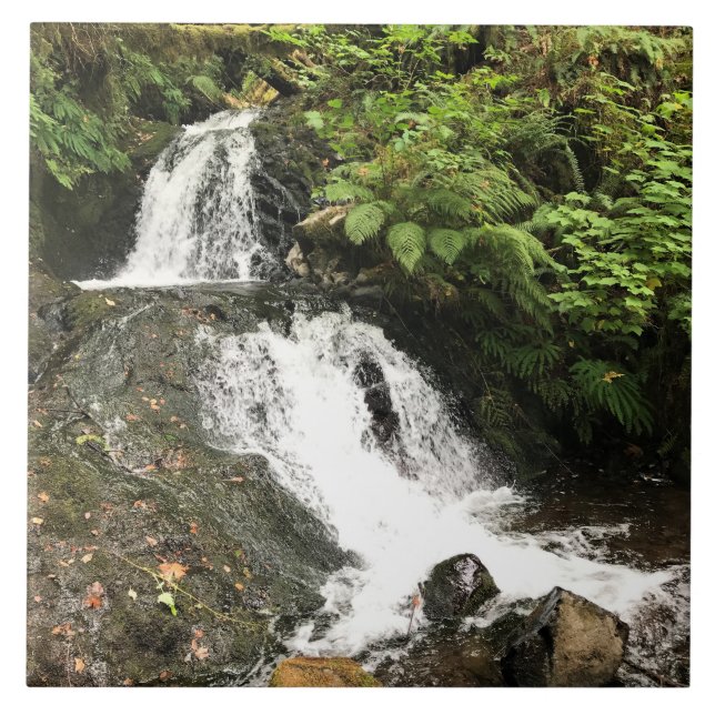 Dell Falls von Shepperd, OR Fliese (Vorderseite)