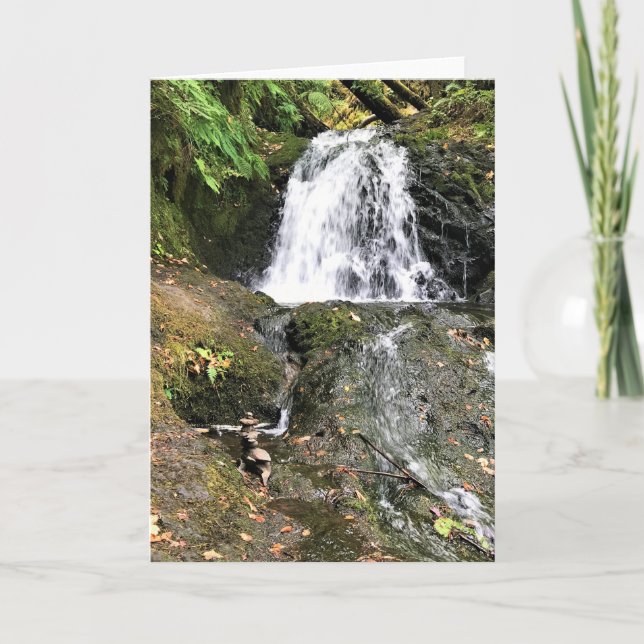 Dell Falls von Shepperd, Oregon Karte (Vorderseite)