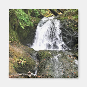 Dell Falls von Shepperd, Oregon Magnet