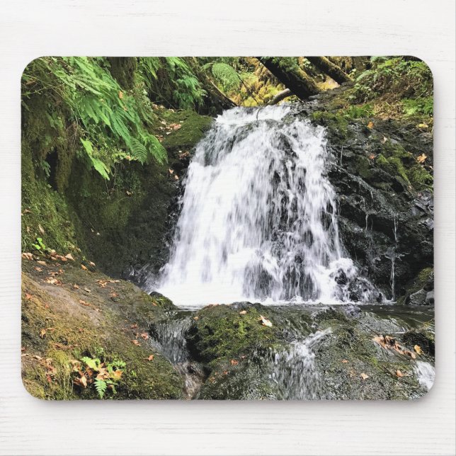 Dell Falls von Shepperd, Oregon Mousepad (Vorne)
