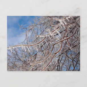 Delmar Loop im Dezember Postkarte