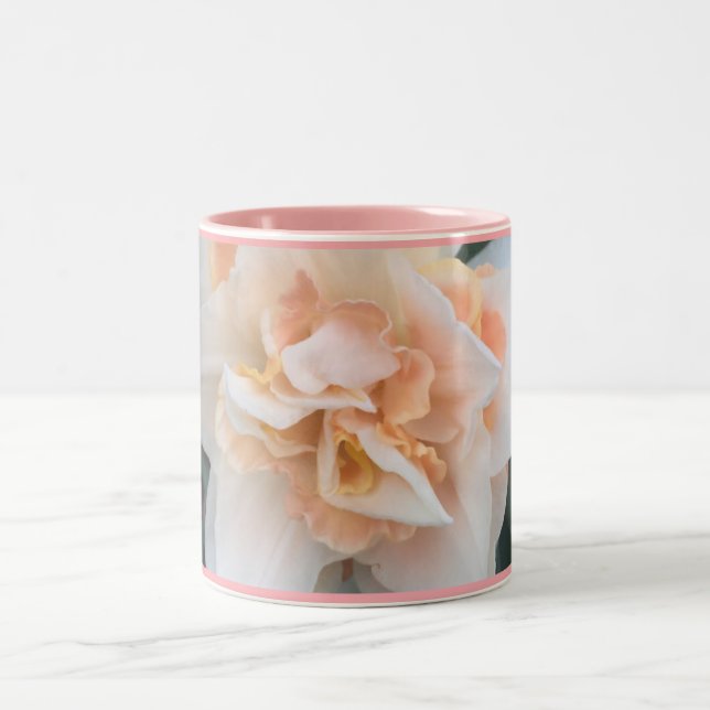 Delnashaugh Daffodil zweifarbige Pink-Tasse Zweifarbige Tasse (Mittel)