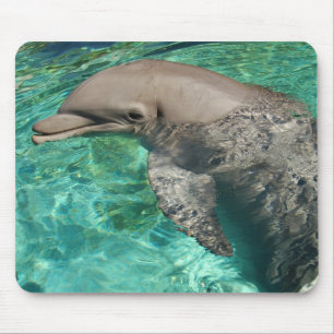 Delphin 2 mousepad