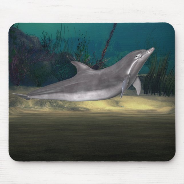 Delphin am Spiel Mousepad (Vorne)