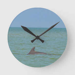 Delphin auf Sanibel Runde Wanduhr