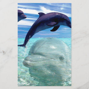Delphin Briefpapier