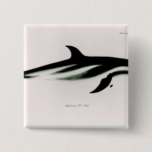 Delphin Button