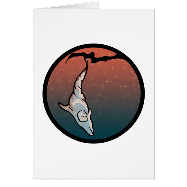 Delphin-Cocoon (Vorne)