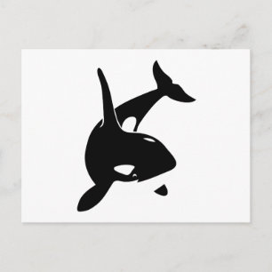 Delphin delphin schwertwal postkarte