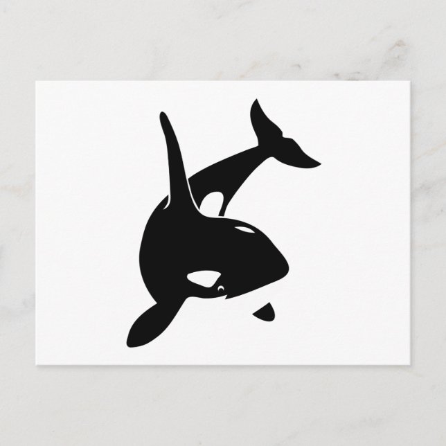 Delphin delphin schwertwal postkarte (Vorderseite)