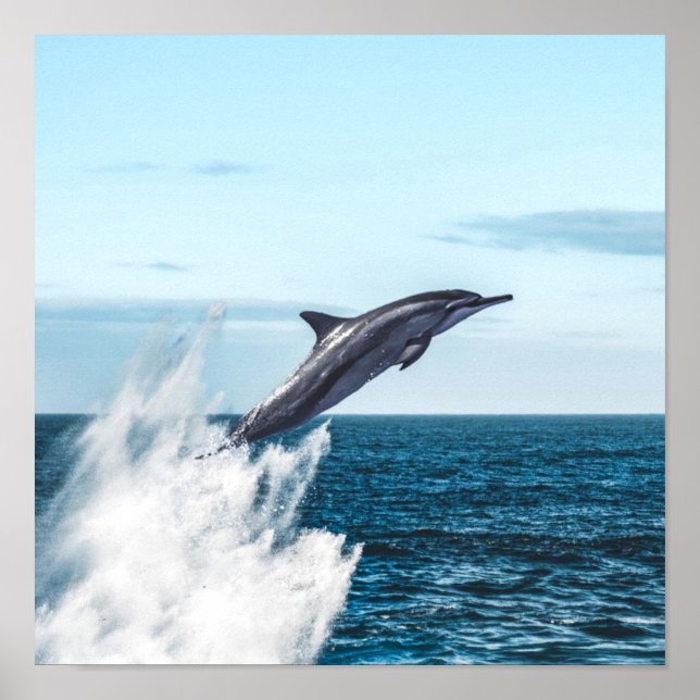 Delphin, die aus dem Ozean springen Poster (Vorne)