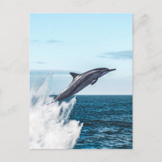 Delphin, die aus dem Ozean springen Postkarte