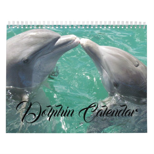 Delphin Dive Hawaiian Liebe Destiny Destiny's Kalender (Titelbild)