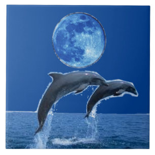 Delphin-Fliesen Fliese