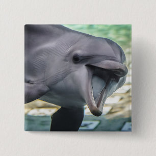 Delphin Getty Bild-  Button
