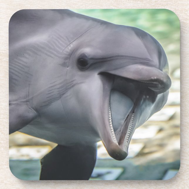 Delphin Getty Bild-| Getränkeuntersetzer (Vorderseite)