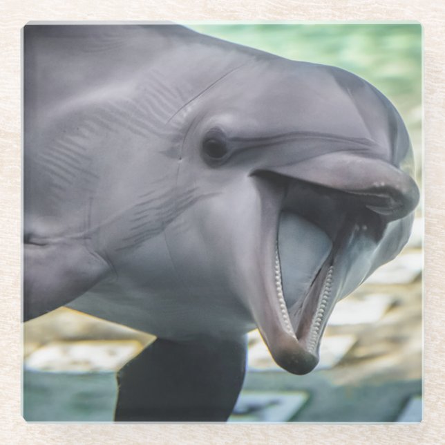 Delphin Getty Bild-| Glasuntersetzer (Vorderseite)
