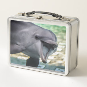 Delphin Getty Bild- Metall Brotdose