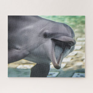 Delphin Getty Bild- Puzzle