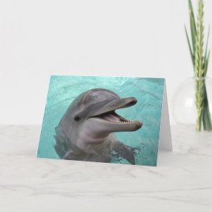 Delphin-Gruß-Karte Karte