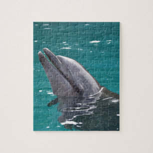 Delphin in Grün Puzzle