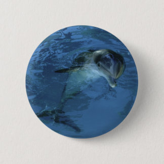 Delphin-Knopf Button