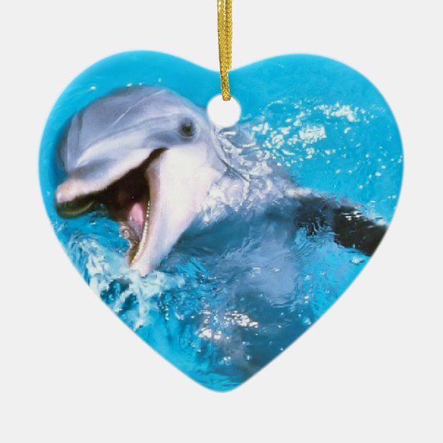 Delphin lächelnde 2 keramikornament (Vorne)