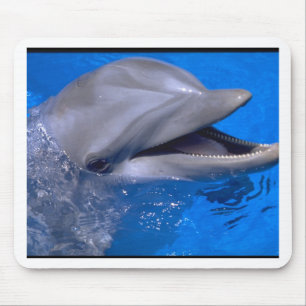 Delphin Mousepad