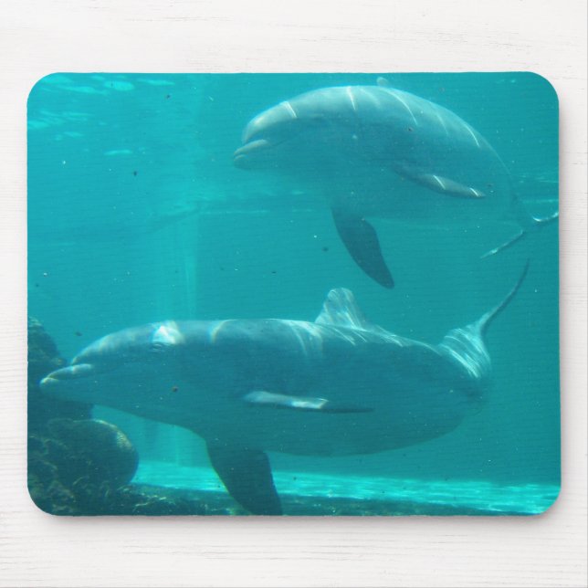 Delphin Mousepad (Vorne)
